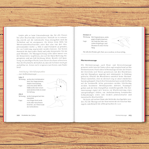 Buch Frauenblut Zykluswissen